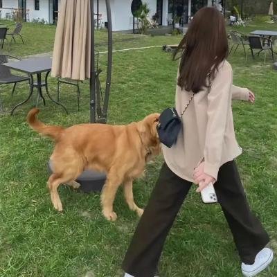 我的裘可妹妹封面